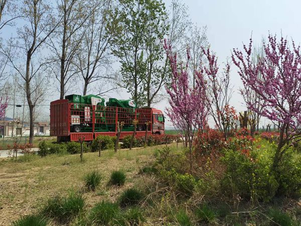 發(fā)貨現(xiàn)場 發(fā)貨現(xiàn)場