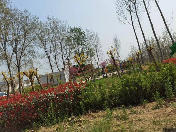 發(fā)貨現(xiàn)場 發(fā)貨現(xiàn)場